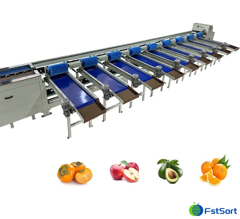 images/1698652499618orange sorting grading machine.jpg